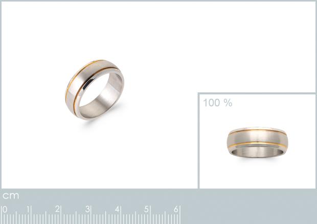 Anillo Acero 316. Pvd Bicolor - 7z09480056