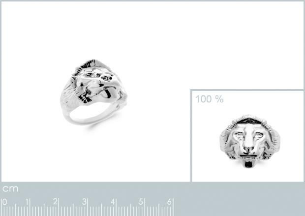 BAGUE ARGENT 925 - 1z95160058