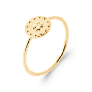 BAGUE PL-OR 750 3MIC