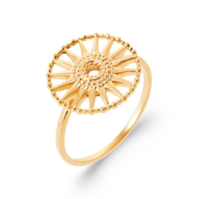 BAGUE PL-OR 750 3MIC