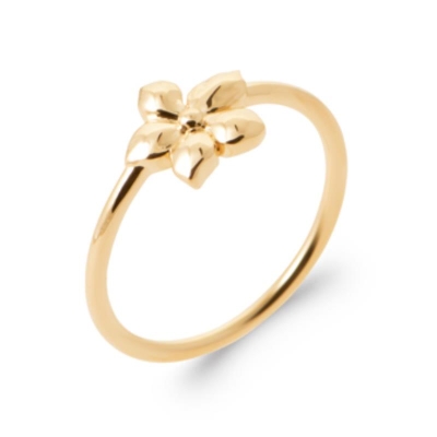 BAGUE PL-OR 750 3MIC