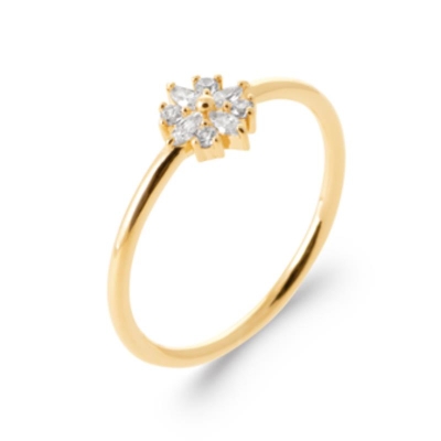 BAGUE PL-OR 750 3MIC OZ