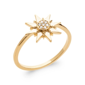 BAGUE PL-OR 750 3MIC OZ