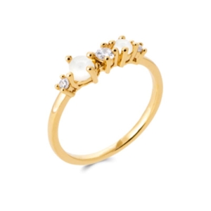 BAGUE PL-OR 750 3MIC OZ PV