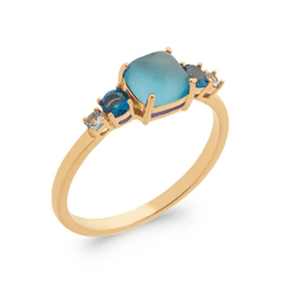 BAGUE PL-OR 750 3MIC PV