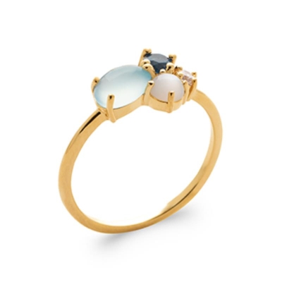 BAGUE PL-OR 750 3MIC PV