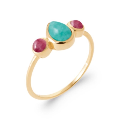 BAGUE PL-OR 750 3MIC PV