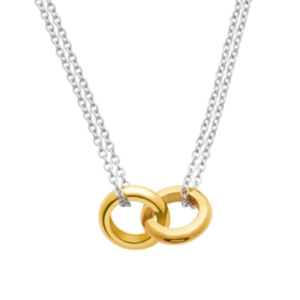 COLLIER ACIER PVD COULEUR ARGENT