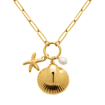 COLLIER ACIER PVD DORÉ