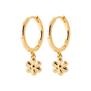 CREOLE PL-OR 750 3MIC