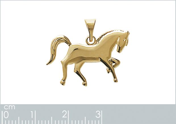 PENDENTIF PL-OR 750 3MIC - 2z878300